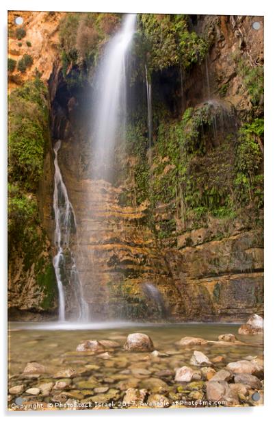 lower waterfall in Wadi David Acrylic by PhotoStock Israel