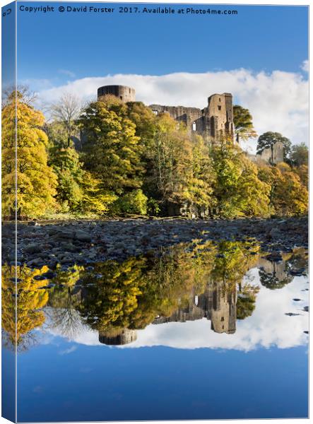 Barnard Castle Autumn, Teesdale, County Durham UK. Canvas Print by David Forster