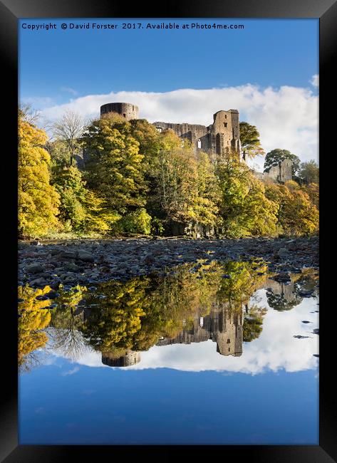 Barnard Castle Autumn, Teesdale, County Durham UK. Framed Print by David Forster