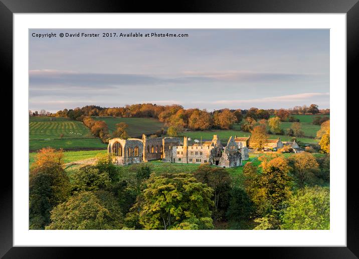 Autumn Light Egglestone Abbey Framed Mounted Print by David Forster