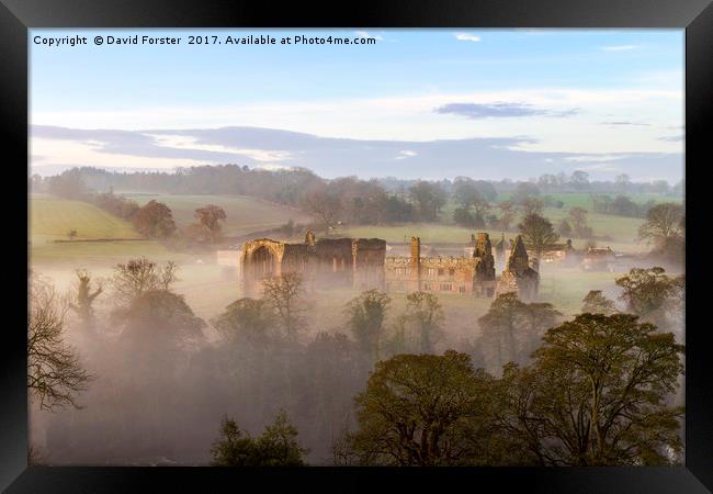 Egglestone Abbey Morning Mist Framed Print by David Forster