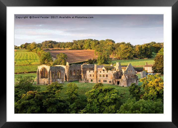 Autumn Light Egglestone Abbey Framed Mounted Print by David Forster