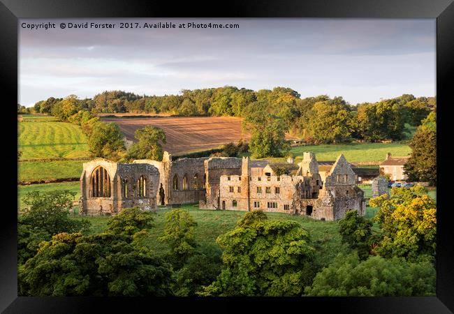 Autumn Light Egglestone Abbey Framed Print by David Forster