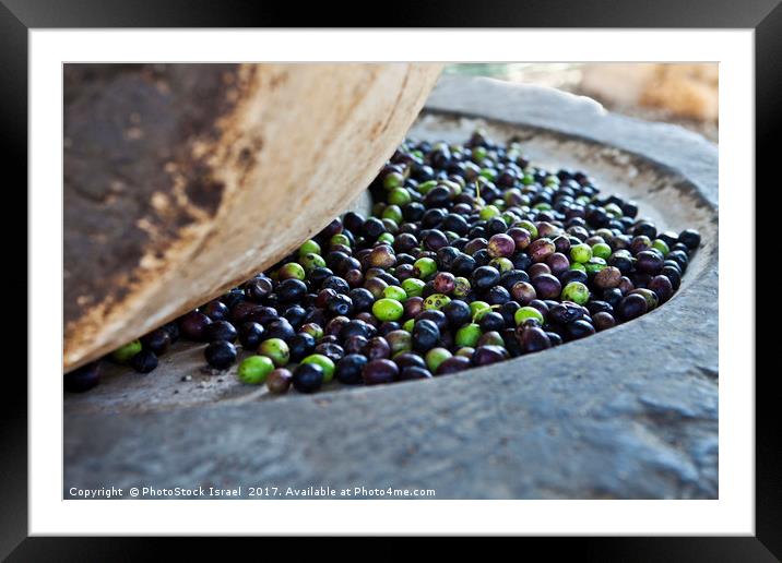 Olives in stone press Framed Mounted Print by PhotoStock Israel