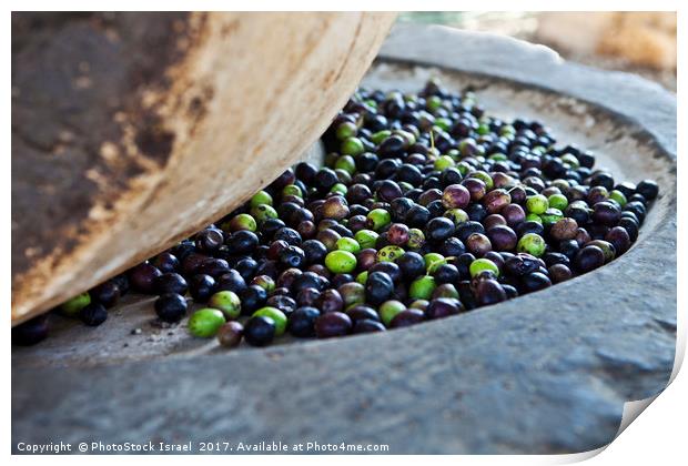 Olives in stone press Print by PhotoStock Israel