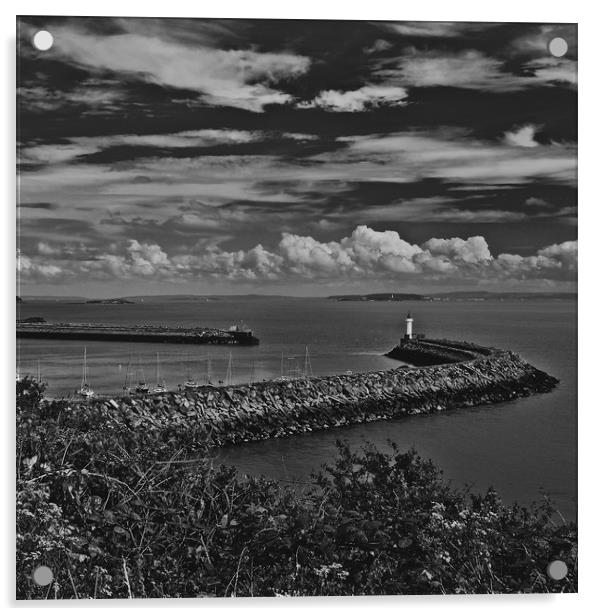 Jackson Bay lighthouse Acrylic by David Martin