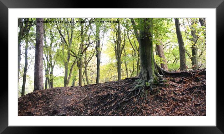 Biddulph Country Park Framed Mounted Print by Andrew Heaps