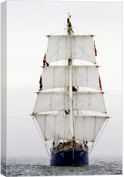 Tall Ship Sailing to New York Canvas Print by Luc Novovitch
