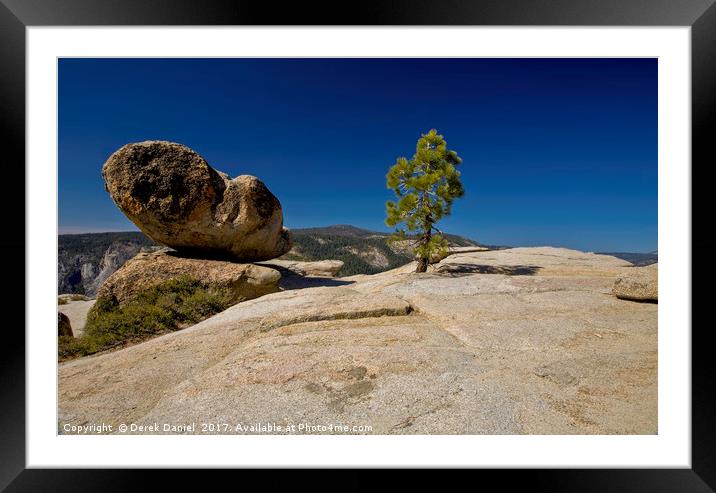 Rock and Tree Framed Mounted Print by Derek Daniel