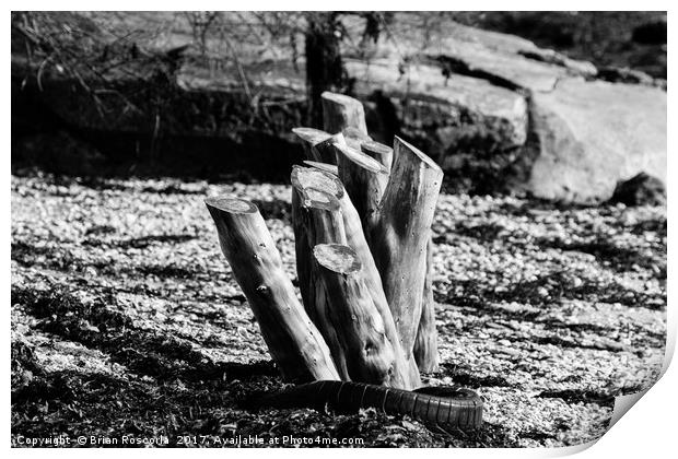 Loe Beach Piles Print by Brian Roscorla