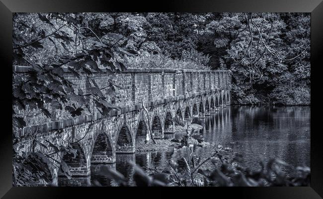 The nineteen arches at Carr Mill Dam St Helens Framed Print by Andrew George