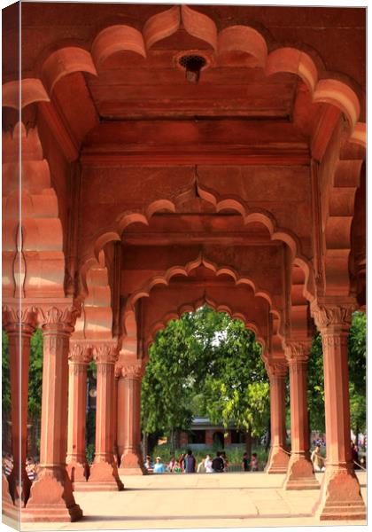 Engrailed Arches, Red Fort, New Delhi, India  Canvas Print by Aidan Moran