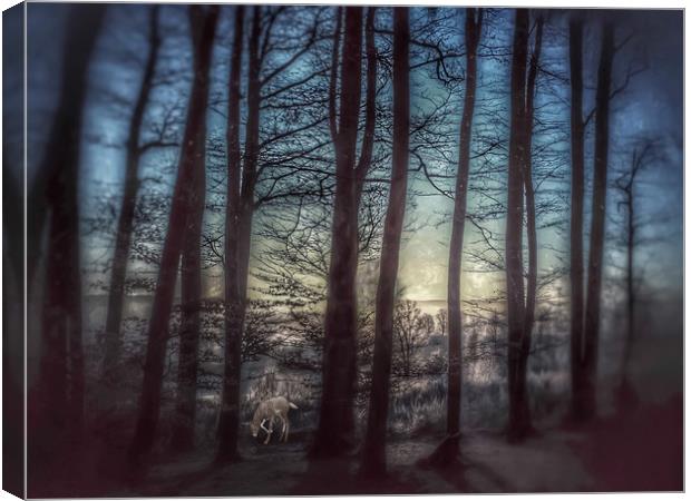 Enchanting Winter Forest Scene Canvas Print by Beryl Curran