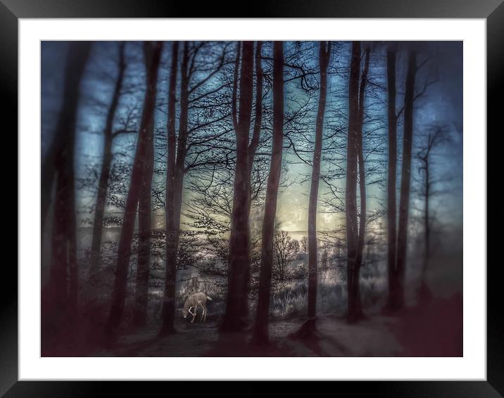 Enchanting Winter Forest Scene Framed Mounted Print by Beryl Curran