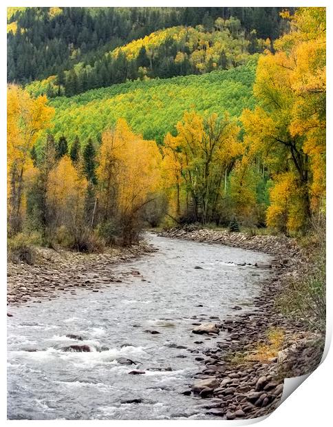 Colorado San Juan River in Autumn Print by Luc Novovitch