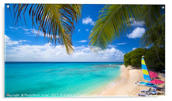 Barbados  Acrylic by PhotoStock Israel