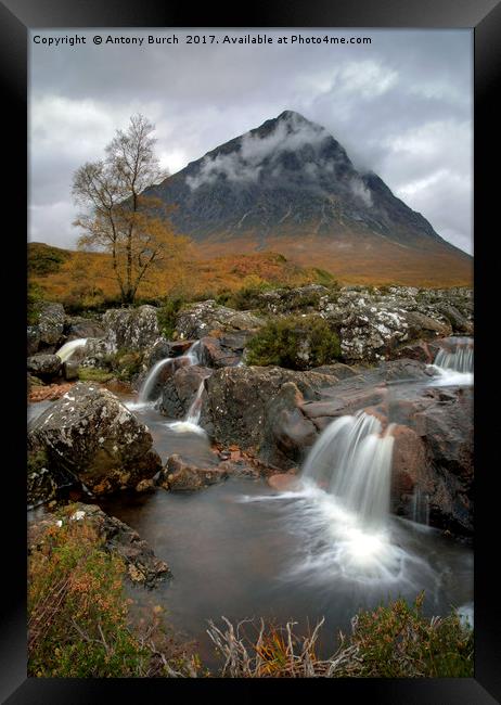 Glen Etive and River Coupall  Framed Print by Antony Burch