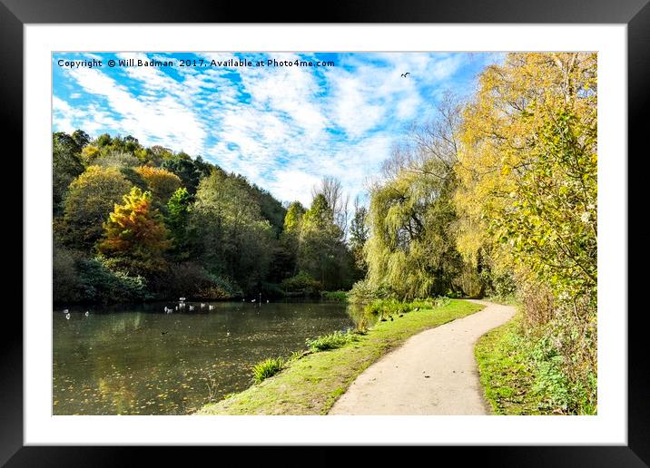 Ninesprings Country Park Yeovil Somerset  Framed Mounted Print by Will Badman