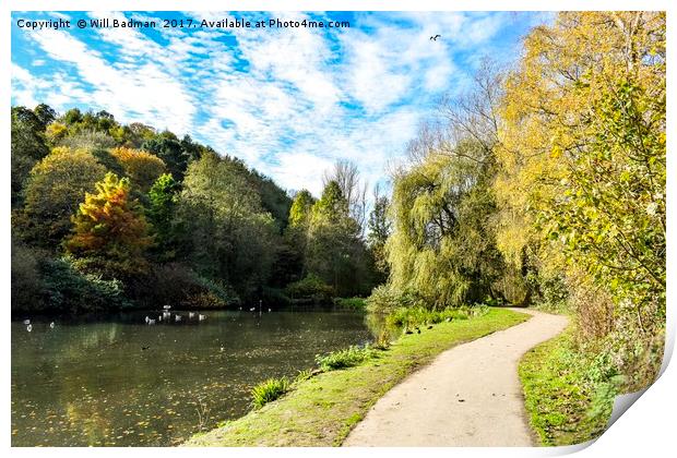 Ninesprings Country Park Yeovil Somerset  Print by Will Badman