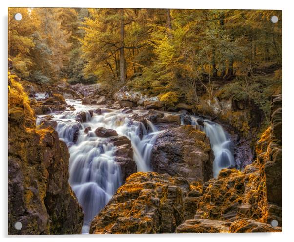 Autumn colours at the Falls of Braan near Dunkeld Acrylic by Miles Gray