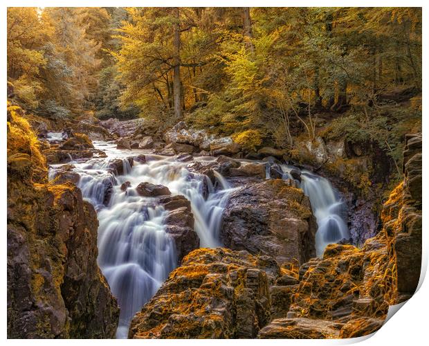 Autumn colours at the Falls of Braan near Dunkeld Print by Miles Gray