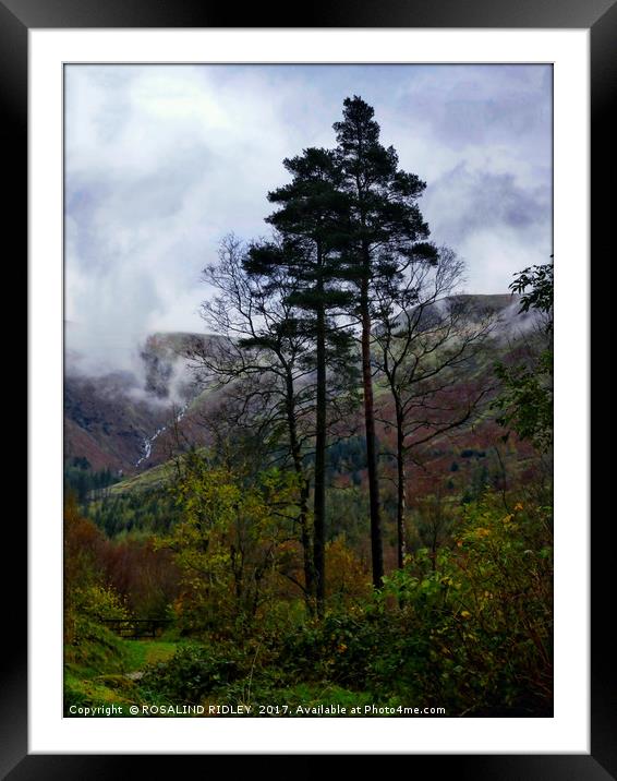 "Trees and clouds" Framed Mounted Print by ROS RIDLEY