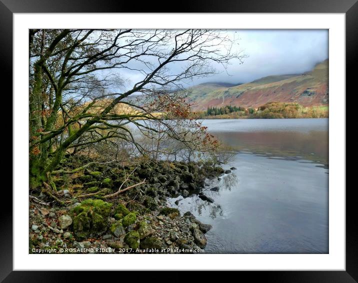 "Lake Thirlmere" Framed Mounted Print by ROS RIDLEY