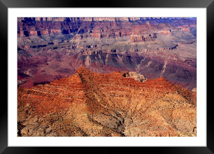 Grand Canyon  Framed Mounted Print by Aidan Moran