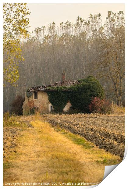 Autumn colours landscape Italy Print by Fabrizio Malisan