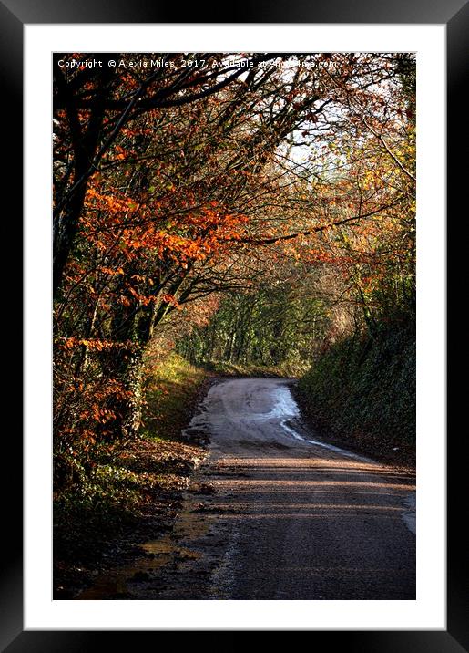 Autumn country lane Framed Mounted Print by Alexia Miles