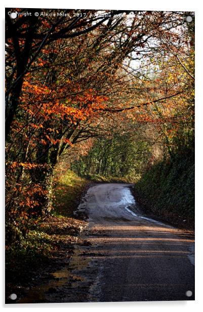Autumn country lane Acrylic by Alexia Miles