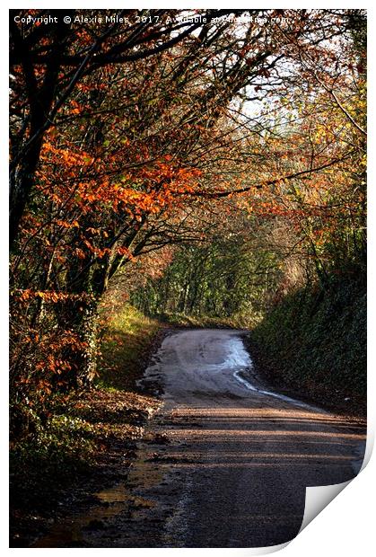 Autumn country lane Print by Alexia Miles