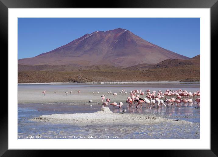 Bolivia, Salar de Uyuni  Framed Mounted Print by PhotoStock Israel