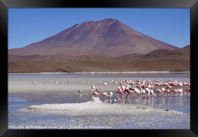 Bolivia, Salar de Uyuni  Framed Print by PhotoStock Israel