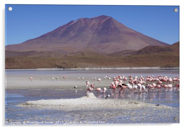 Bolivia, Salar de Uyuni  Acrylic by PhotoStock Israel