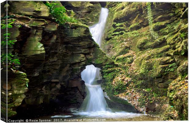 St Nectans Glen Waterfall at Thethevy nearTintagel Canvas Print by Rosie Spooner