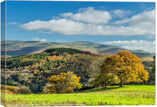 Towards the Black Mountains in the Brecon Beacons Canvas Print by Nick Jenkins