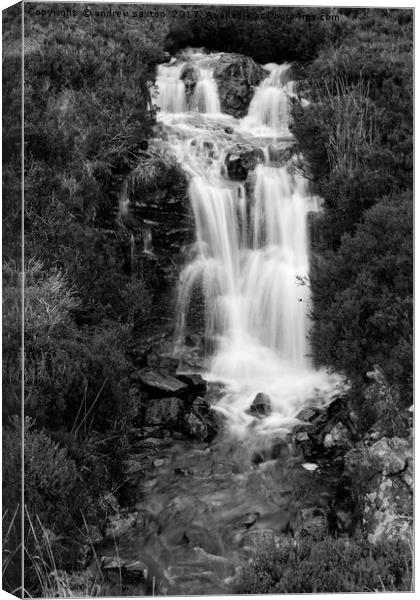 STEIN FALLS Canvas Print by andrew saxton