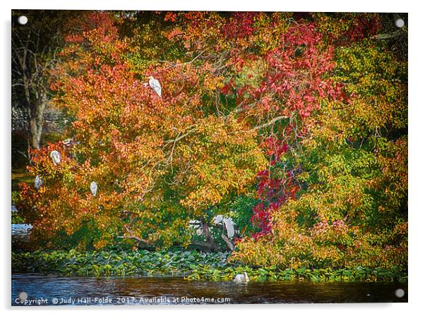 Rookery in Autumn Acrylic by Judy Hall-Folde