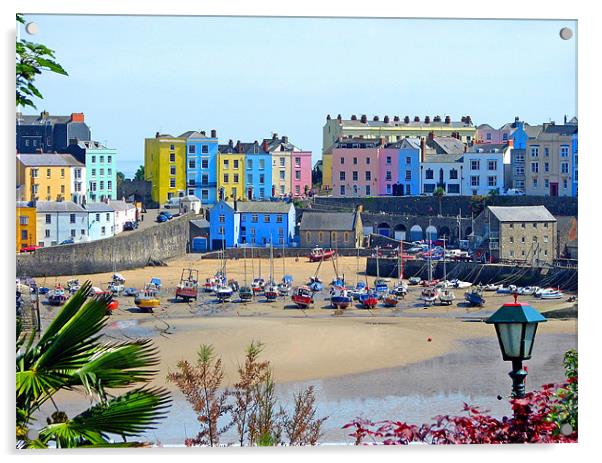 Tenby Harbour.Wales. Acrylic by paulette hurley