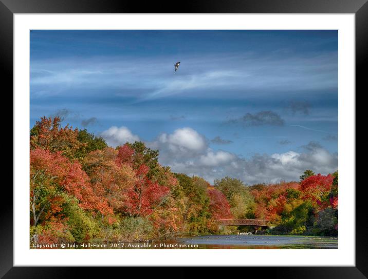 Autumn Tranquility Framed Mounted Print by Judy Hall-Folde