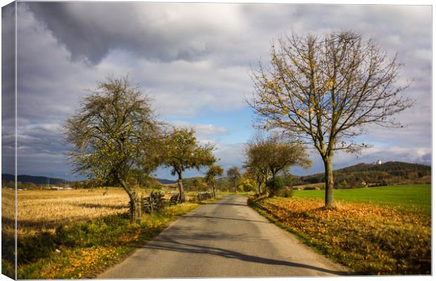 Autumn countryside road. Canvas Print by Sergey Fedoskin