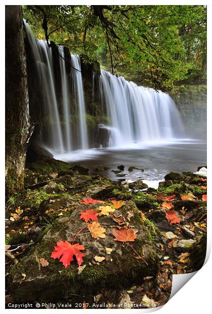 Autumn's Embrace at Sgwd Ddwli Waterfall Print by Philip Veale