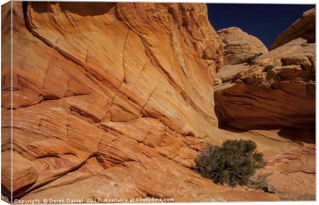 Brainrocks, Coyote Buttes North Canvas Print by Derek Daniel