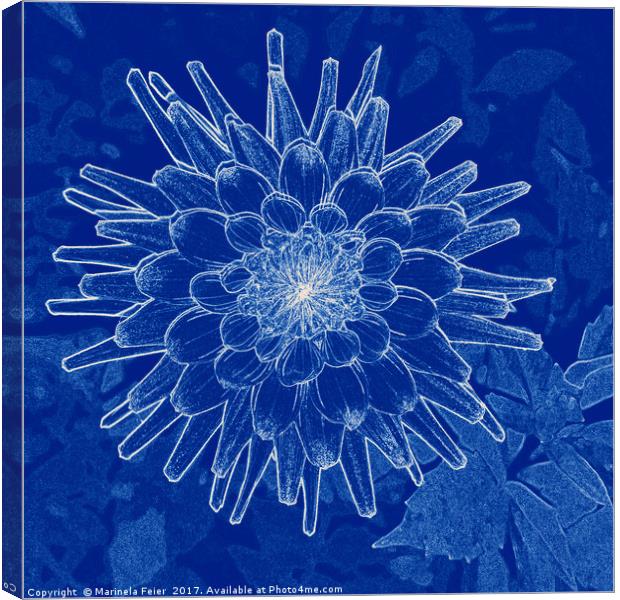 flower on blue Canvas Print by Marinela Feier