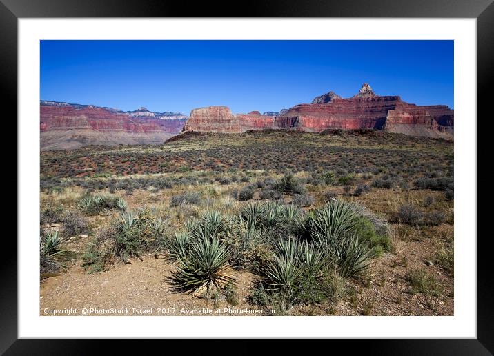 Grand Canyon National Park Framed Mounted Print by PhotoStock Israel