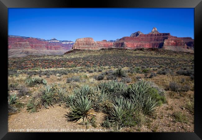 Grand Canyon National Park Framed Print by PhotoStock Israel