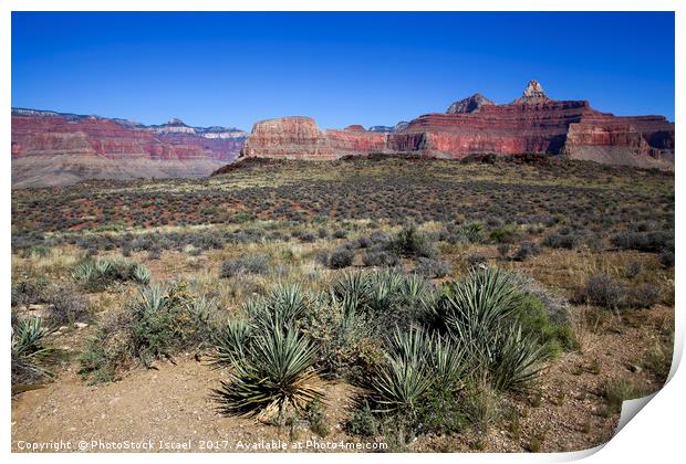 Grand Canyon National Park Print by PhotoStock Israel