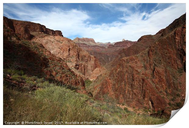 Grand Canyon National Park Print by PhotoStock Israel