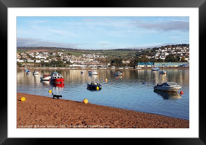 Bright sunny morning on the River Teign at Shaldon Framed Mounted Print by Rosie Spooner